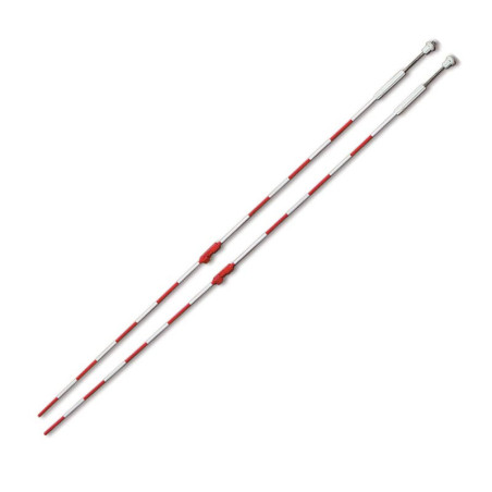 PAR DE ANTENAS CON SOPORTE TANDEM TSANTENNAE